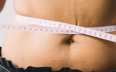 Alimentación en la Menopausia
